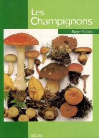 Les champignons