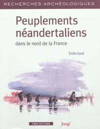 Peuplements néandertaliens dans le nord de la France : territoires, industries lithiques et occupations humaines durant la phase récente du paléolithique moyen