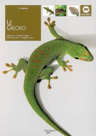 Le gecko