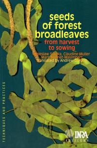 Seeds of forest broadleaves : from harvest to sowing