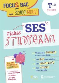 SES : terminale, spécialité : fiches studygram