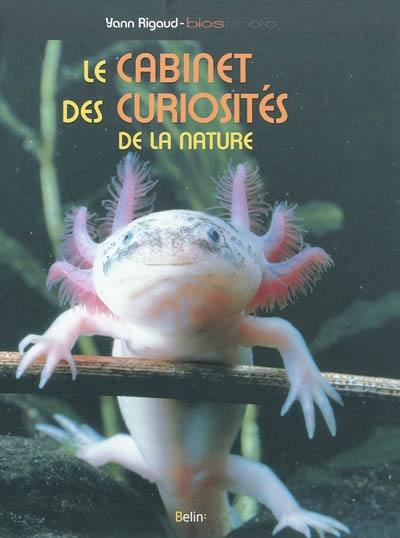 Le cabinet des curiosités de la nature