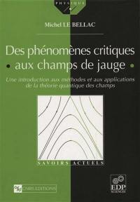 Des phénomènes critiques aux champs de jauge : une introduction aux méthodes et applications de la théorie quantique des champs