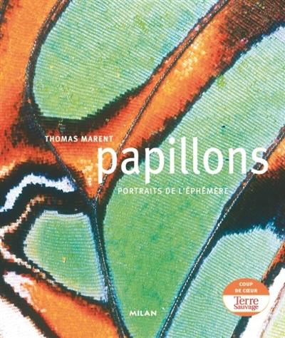 Papillons : portraits de l'éphémère