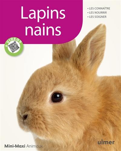 Lapins nains : les connaître, les nourrir, les soigner