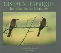 Oiseaux d'Afrique : les plus belles histoires