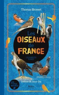 Les rares oiseaux de France