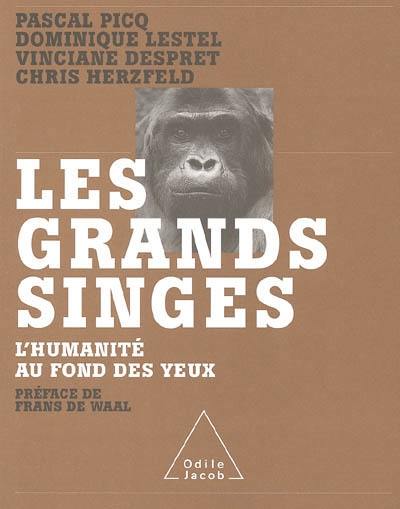 Les grands singes : l'humanité au fond des yeux