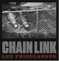 Lee Friedlander Chain Link