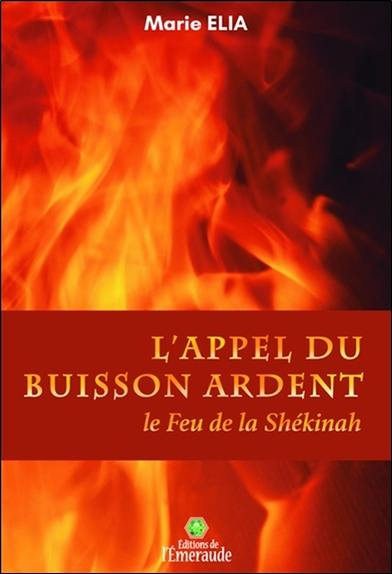 L'appel du buisson ardent : le feu de la Shékinah