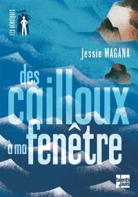 Des cailloux à ma fenêtre