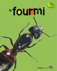 La fourmi