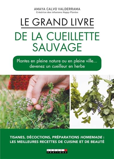 Le grand livre de la cueillette sauvage