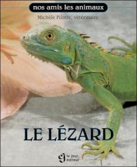 Le lézard