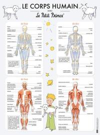 Le corps humain avec le Petit Prince