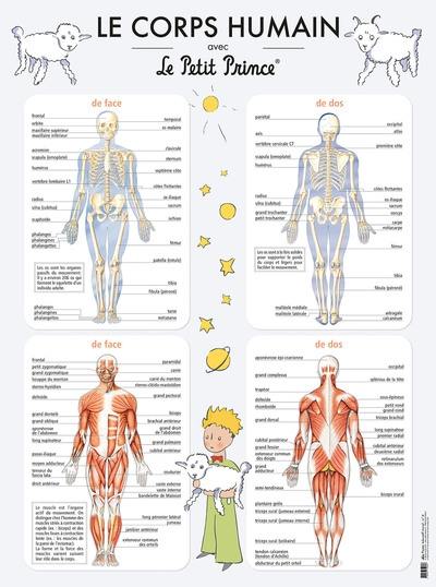 Le corps humain avec le Petit Prince