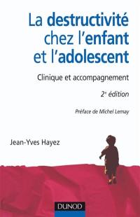 La destructivité chez l'enfant et l'adolescent : clinique et accompagnement