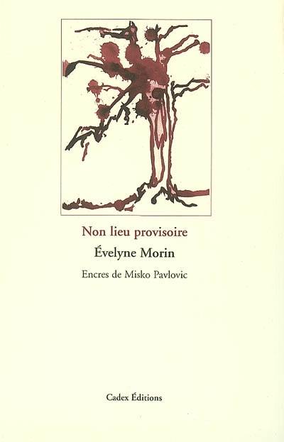 Non lieu provisoire