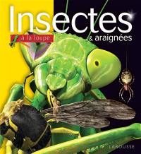 Insectes et araignées