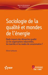 Sociologie de la qualité et mondes de l'énergie : quels impacts des démarches qualité sur les organisations industrielles, les marchés et les modes de consommation ?