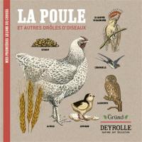 Mes premières leçons de choses. La poule : et autres drôles d'oiseaux