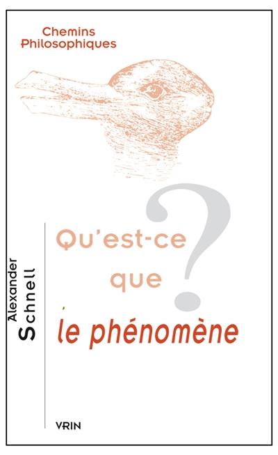 Qu'est-ce que le phénomène ?