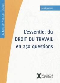 L'essentiel du droit du travail en 250 questions