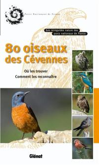 80 oiseaux des Cévennes : où les trouver, comment les reconnaître