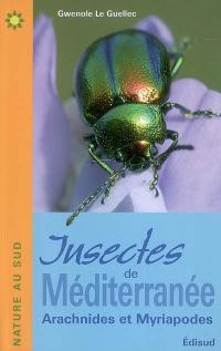 Insectes de Méditerranée : arachnides et myriapodes