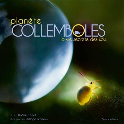 Planète collemboles : la vie secrète des sols