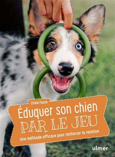 Eduquer son chien par le jeu : une méthode efficace pour renforcer la relation