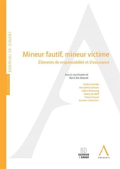 Mineur fautif, mineur victime : éléments de responsabilité et d'assurance