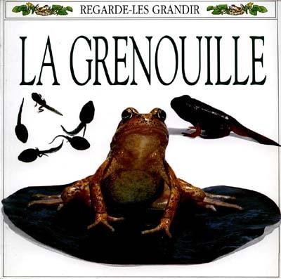 La grenouille