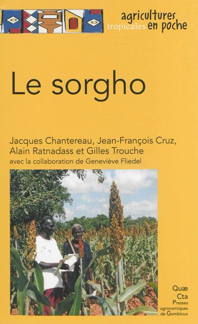 Le sorgho