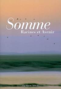 Somme : racines et avenir