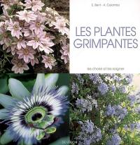 Les plantes grimpantes : les choisir et les soigner