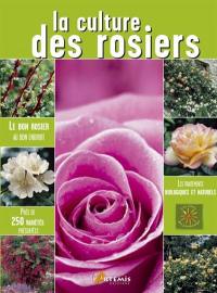 La culture des rosiers