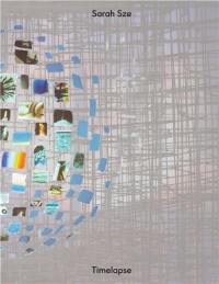 Sarah Sze : Timelapse