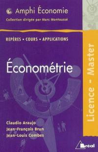 Econométrie : repères, cours, applications