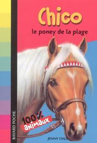 Chico, le poney de la plage