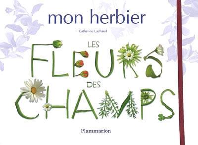 Les fleurs des champs