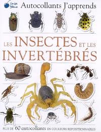 Les insectes et les invertébrés