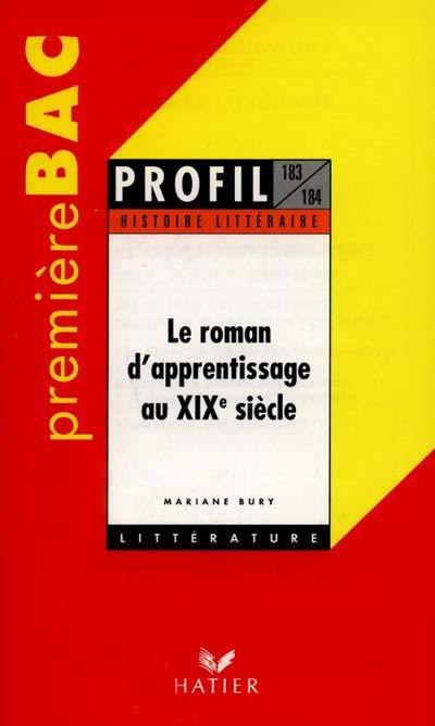 Le roman d'apprentissage au XIXe siècle