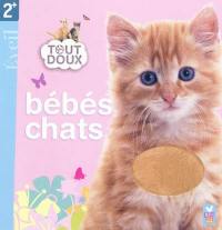 Bébés chats