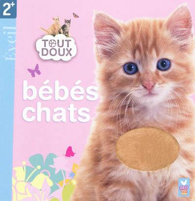 Bébés chats