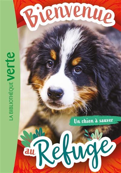 Bienvenue au refuge. Vol. 2. Un chien à sauver