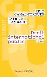 Droit international public