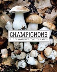 Champignons : plus de 600 fiches d'identification