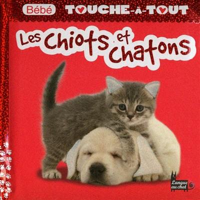 Chiots et chatons