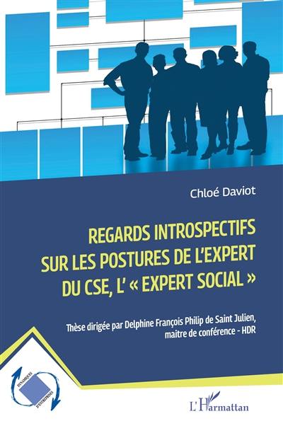 Regards introspectifs sur les postures de l'expert du CSE, l'expert social